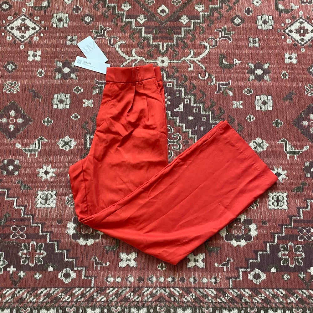 Zara Trousers